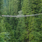 ★★★★★ 5 out of 5 stars Tour: Grand Vancouver & Capilano Experience