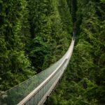 ★★★★★ 5 out of 5 stars Tour: Grand Vancouver & Capilano Experience