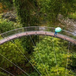 ★★★★★ 5 out of 5 stars  Tour:  Grand Vancouver & Capilano Experience - private tour