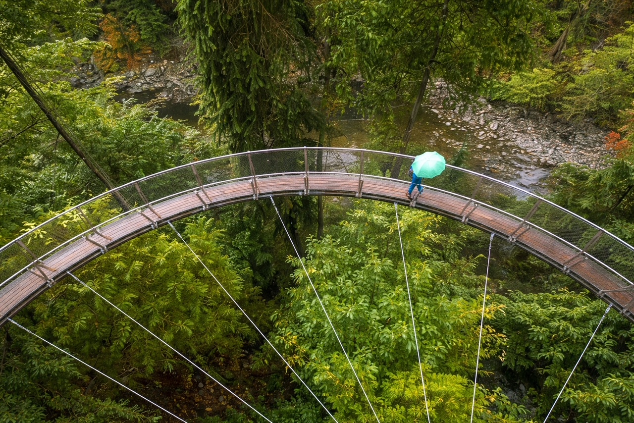 Capilano Suspension Bridge in Vancouver surrounded by forest
