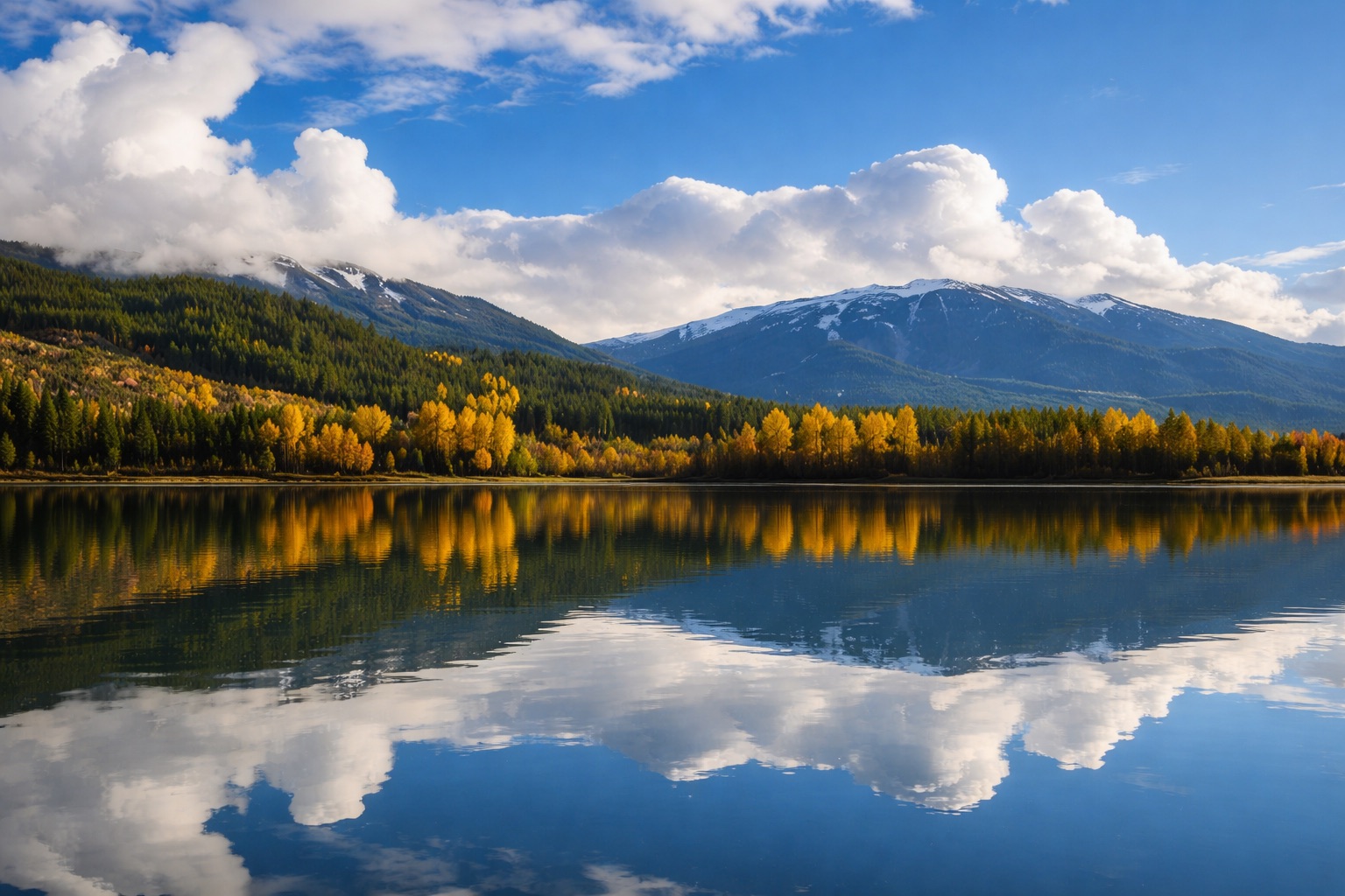 How Much Does a Private Tour in Vancouver Cost? 2026 Guide