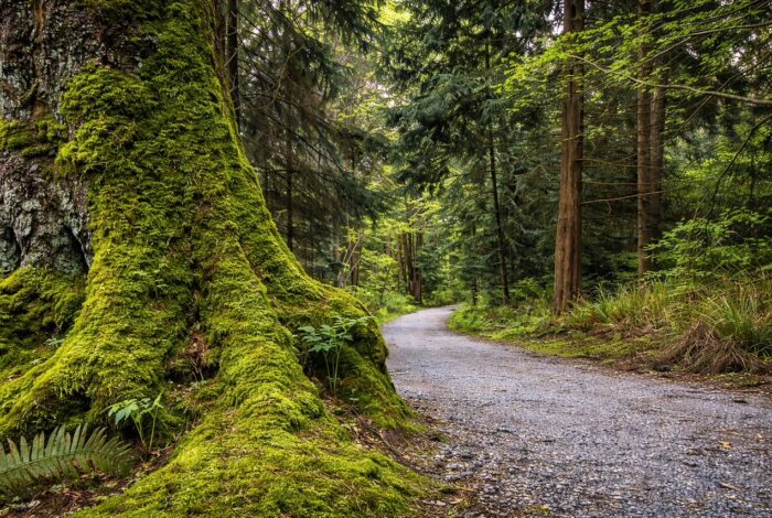 Best places to visit Vancouver in one day