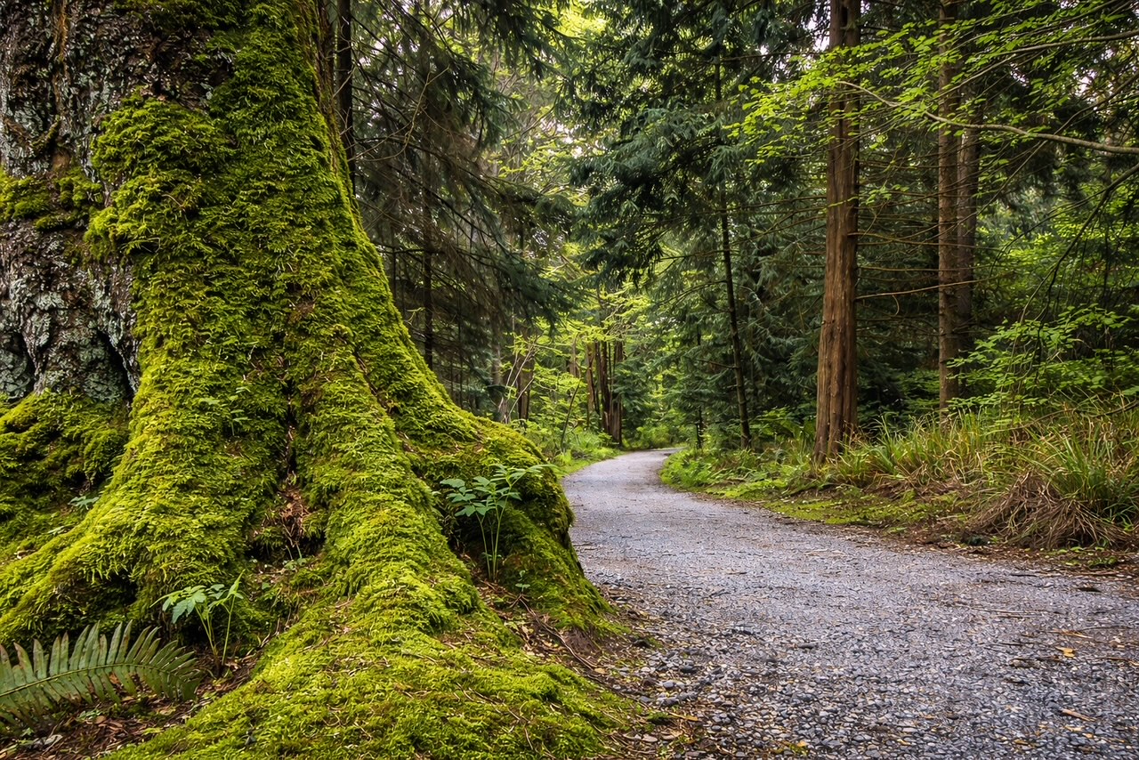 Best places to visit Vancouver in one day