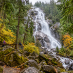 ★★★★★  5 out of 5 stars Tour:   Sea to Sky Gondola & Shannon Fall Tour